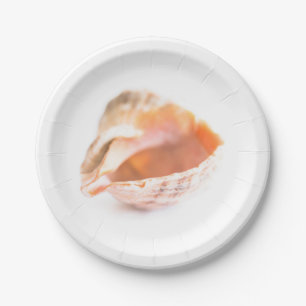 Seashell Pappteller
