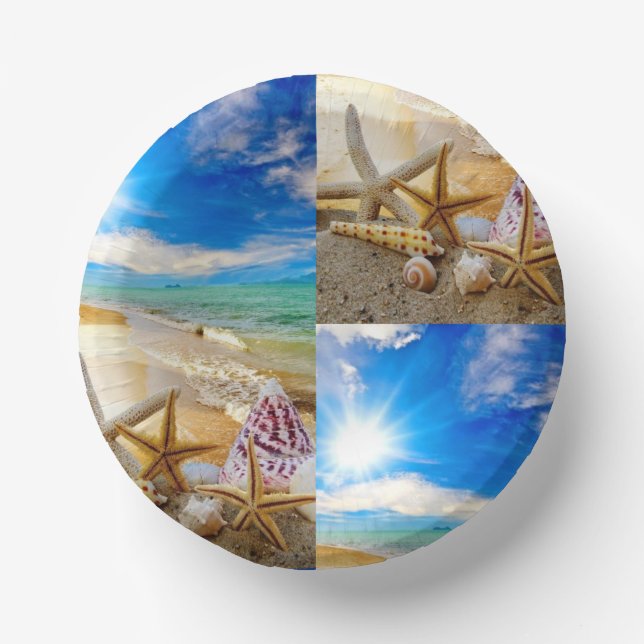 Seashell Pappteller (Vorderseite)