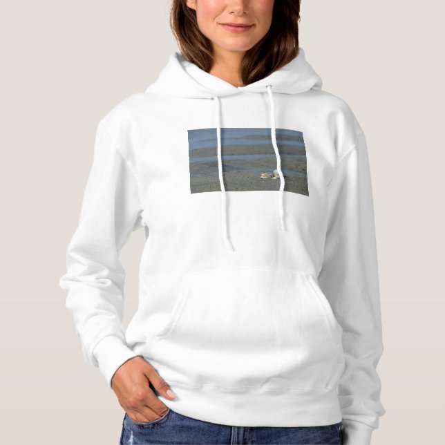 Seashell Pile Hoodie (Vorderseite)