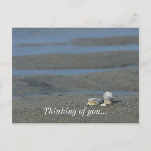 Seashell Pile Postkarte