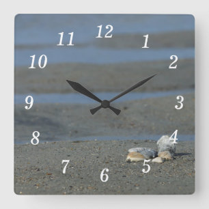 Seashell Pile Wall Clock Quadratische Wanduhr
