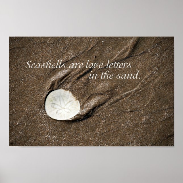 Seashell Poster (Vorne)