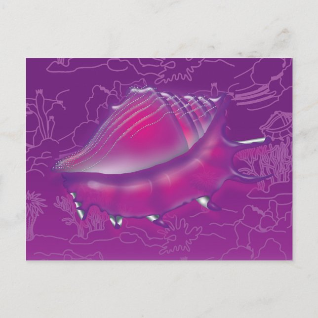 Seashell Postkarte (Vorderseite)