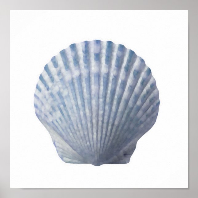 Seashell Print Poster (Vorne)