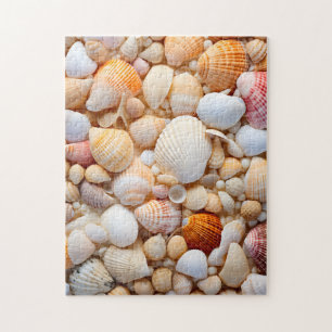 Seashell Puzzle. Puzzle