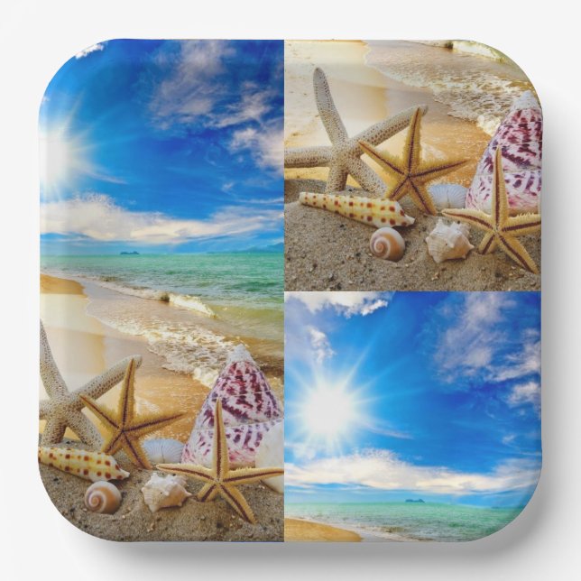 Seashell-Quadrat-Papierplatte Pappteller (Vorderseite)