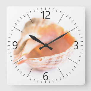 Seashell Quadratische Wanduhr