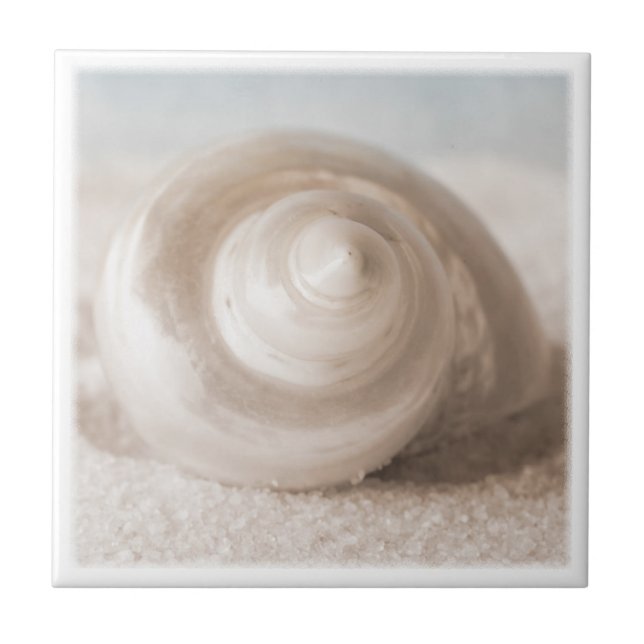 Seashell-Sand-Strand - tropische Muschel-Schablone Fliese (Vorderseite)