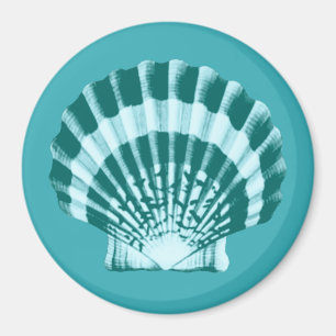 Seashell - Schattierungen in aquamarinem Blau Magnet