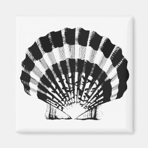 Seashell - Schwarzweiss Magnet