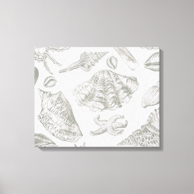 Seashell Soft Antique Art Beach Muscheln Leinwanddruck (Vorderseite)