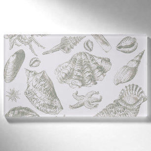 Seashell Soft Antique Art Beach Muscheln Namenschild
