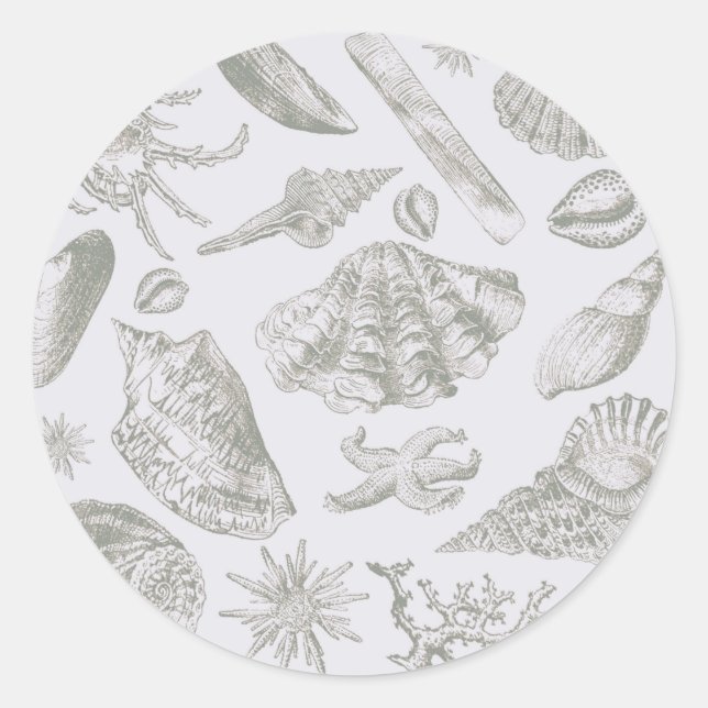 Seashell Soft Antique Art Beach Muscheln Runder Aufkleber (Vorderseite)