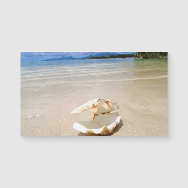 Seashell-Strand-Magnet-Visitenkarte Magnetkarte (Vorderseite)