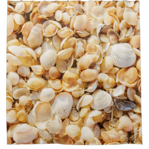 Seashell strukturierte Sommer Strand Hintergrund. Duschvorhang