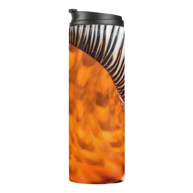 Seashell Thermosbecher (Nach rechts gedreht)
