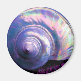 Seashell tropische Opal-Mutter Perle sieht lila au Magnet