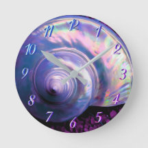 Seashell tropische opaleszente Mutter Perlmutt