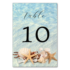 Seashell Wedding Tischnummer Tropical Ocean Beach