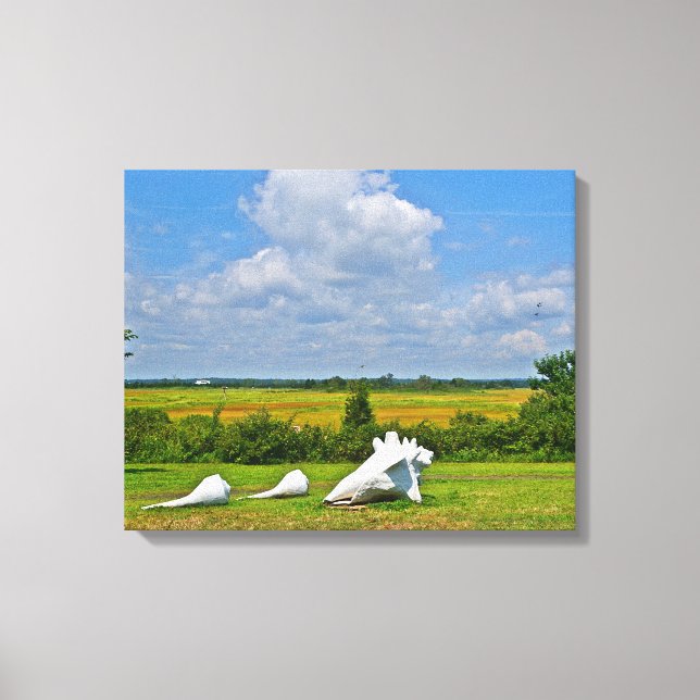 Seashell Wrapped Canvas Leinwanddruck (Vorderseite)