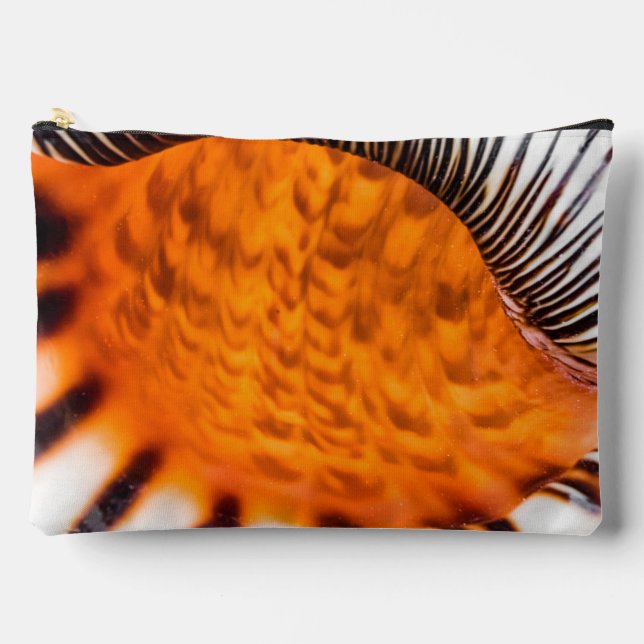Seashell Zubehörtasche (Vorderseite)