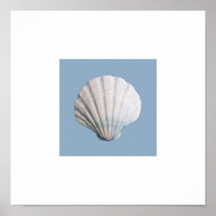 Seashellkunstdruck Poster