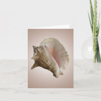 Seashelll Note Card Karte