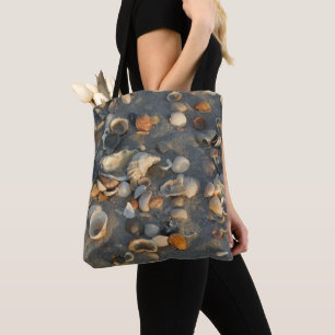 Seashells