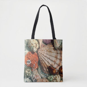 Seashells