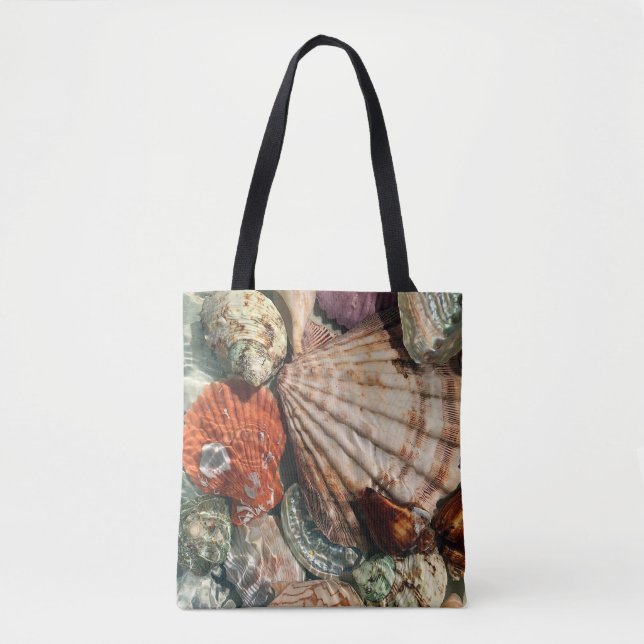 Seashells (Vorderseite)