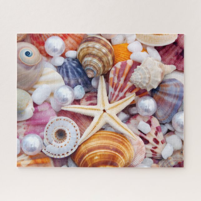 Seashells 520 Stück Puzzle (Horizontal)