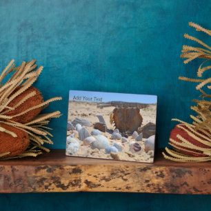 Seashells am Strand von Shirley Taylor Fotoplatte