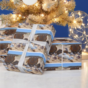 Seashells am Strand von Shirley Taylor Geschenkpapier