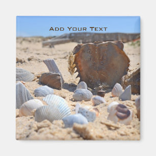 Seashells am Strand von Shirley Taylor Magnet