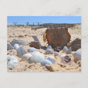 Seashells am Strand von Shirley Taylor Postkarte