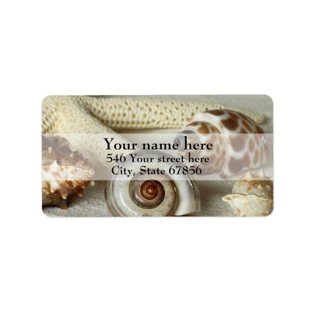 Seashells and Starfish Address Labels Adressaufkleber (Vorne)