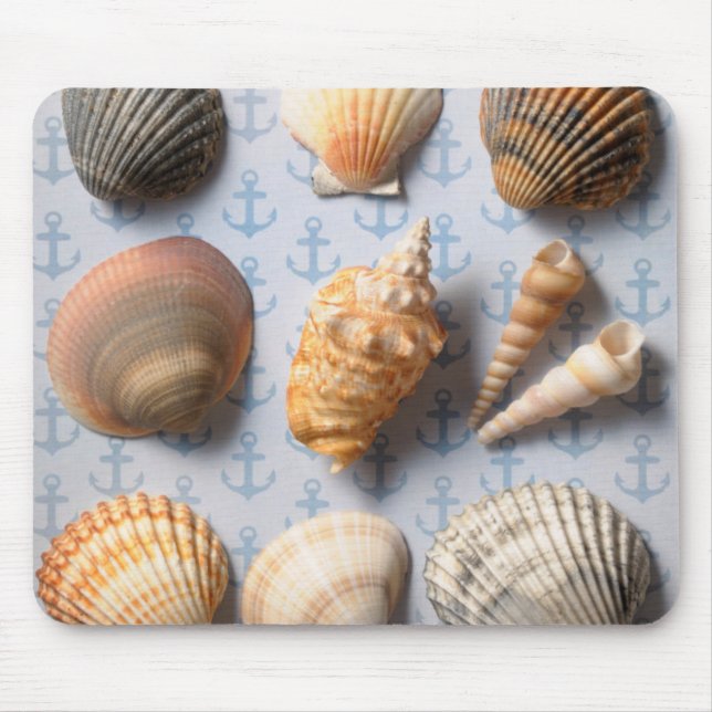 Seashells auf Anker-Hintergrund Mousepad (Vorne)