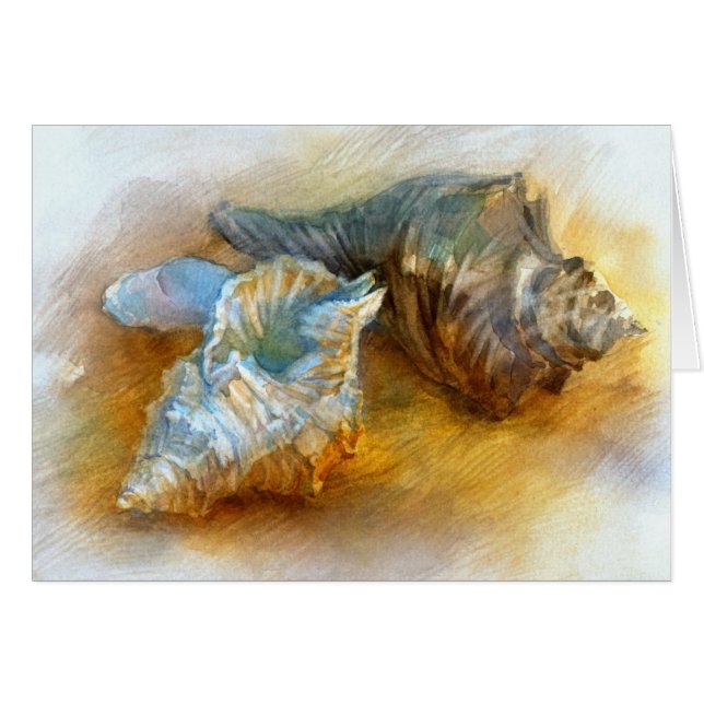 Seashells auf dem Strand (Vorderseite (Horizontal))