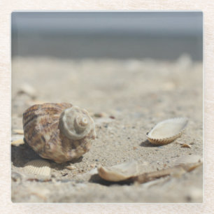 Seashells auf Sand durch das Meer Glasuntersetzer