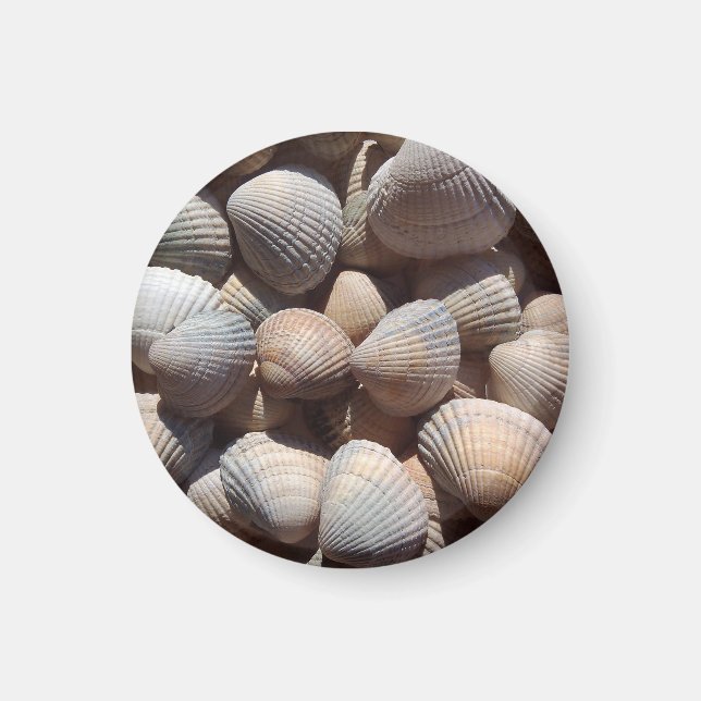 Seashells Beach, Summer Holiday Magnet (Vorne)