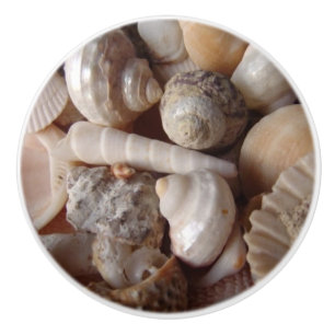 Seashells, Cockleshells, Kamm-Muscheln - Keramikknauf