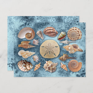Seashells Collection Postkarte