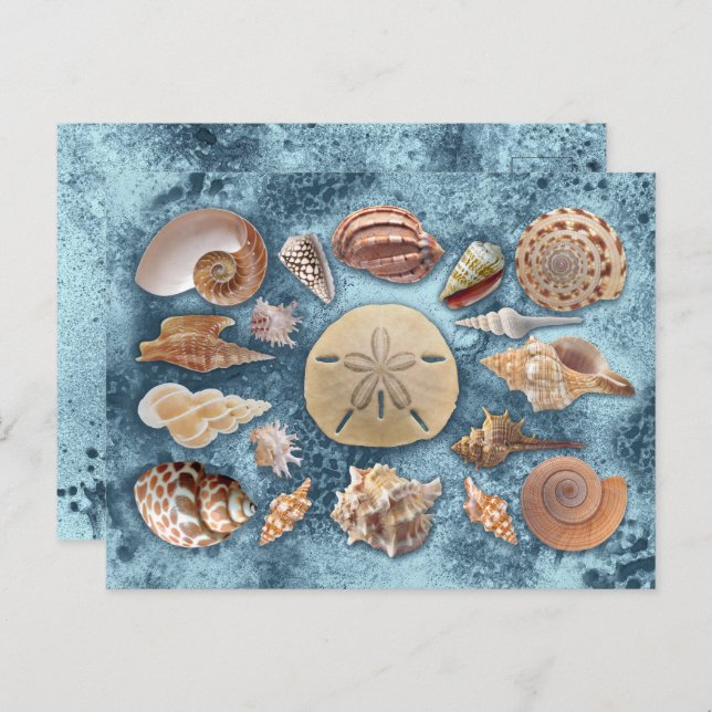 Seashells Collection Postkarte (Vorne/Hinten)
