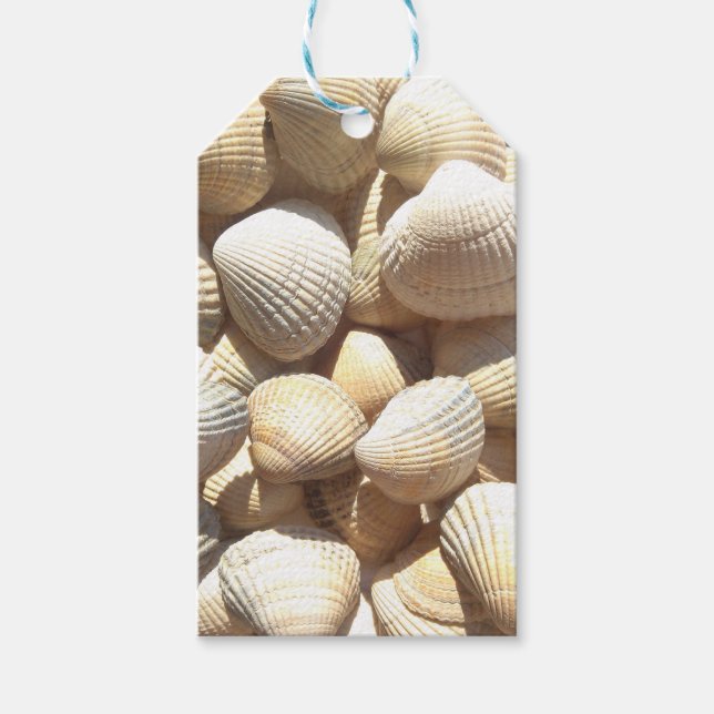 Seashells Collection Summer Beach Geschenketikette Geschenkanhänger (Vorderseite)