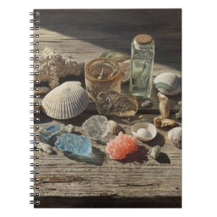 Seashells Coral Coastal Collection Notebook Notizblock