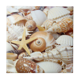 Seashells Fliese