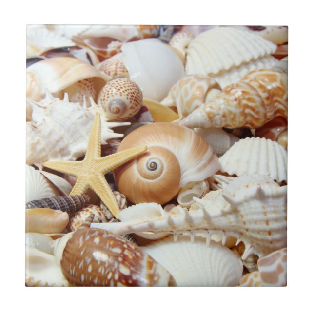 Seashells Fliese (Vorderseite)