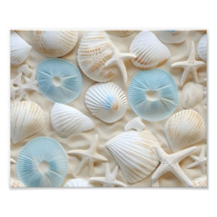 Seashells Foto Print
