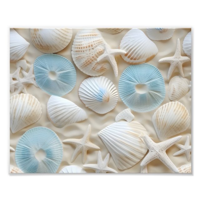Seashells Foto Print (Vorne)