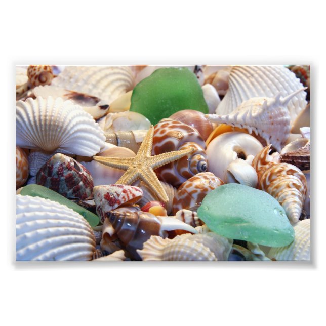 Seashells Foto Prints (Vorne)